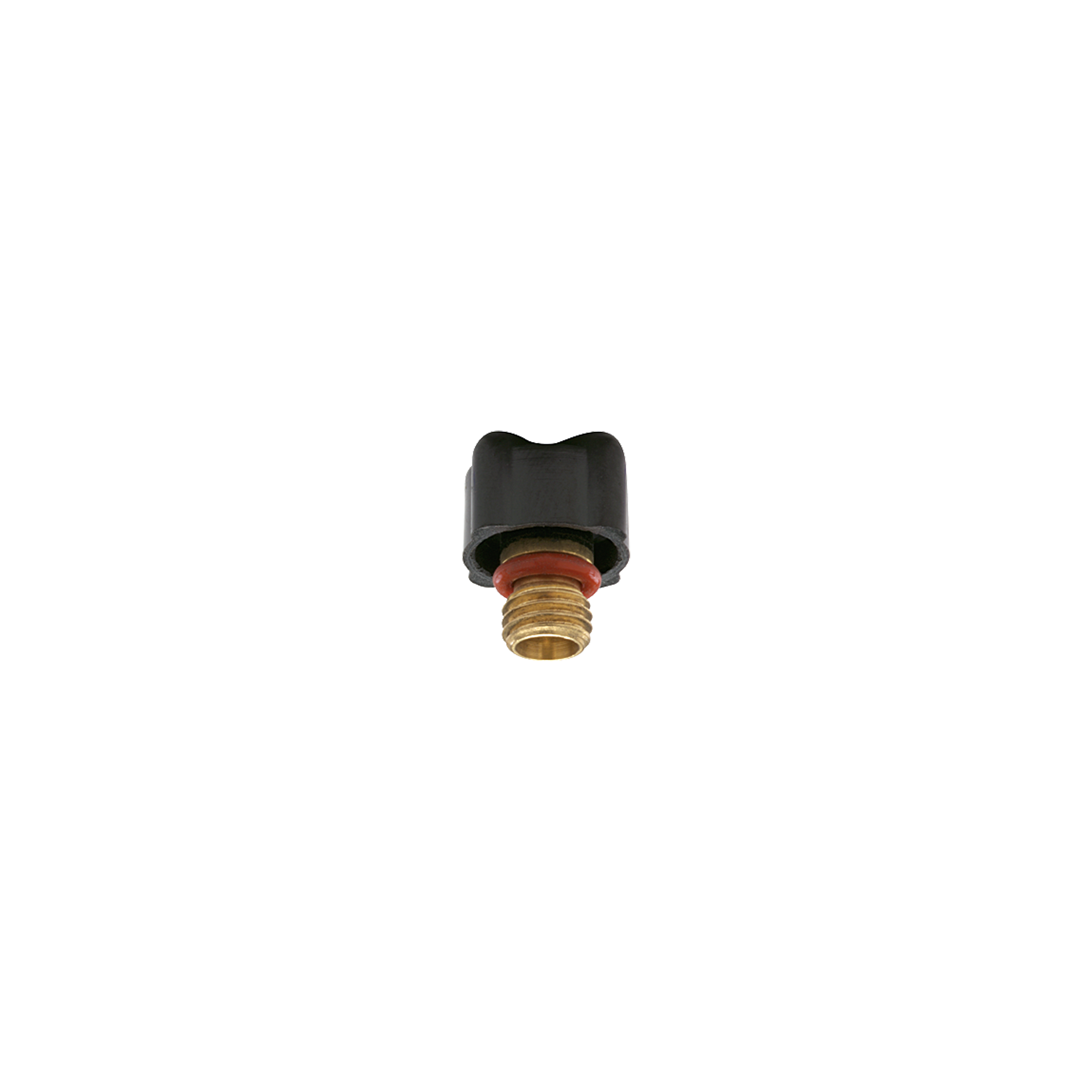 CK EDS Short Back Cap